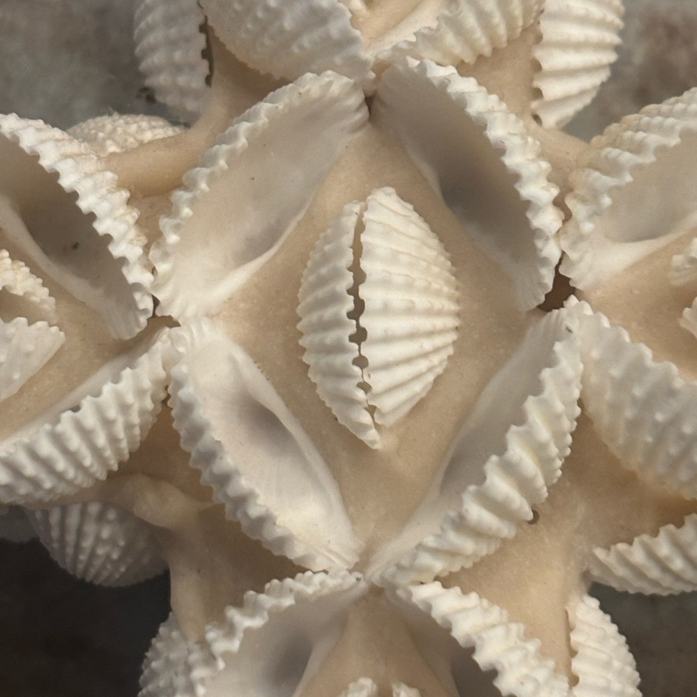 Shell Cross Wall Decor - Picture 3 of 5